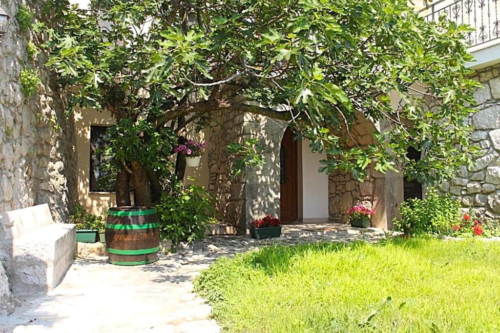 Villa Bartola Grizane-Belgrad Екстер'єр фото